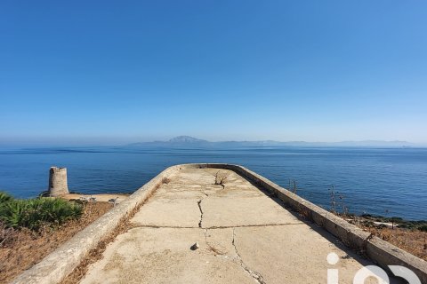 Продажа земельного участка в Тарифа, Кадис, Испания 117543м2 №153075 - фото 4