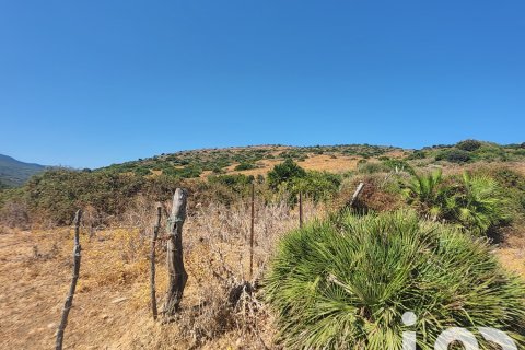 Продажа земельного участка в Тарифа, Кадис, Испания 117543м2 №153075 - фото 17