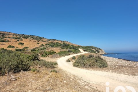 Продажа земельного участка в Тарифа, Кадис, Испания 117543м2 №153075 - фото 19