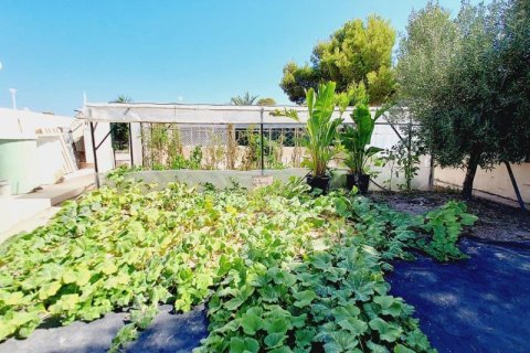 Villa à vendre à Campoamor, Alicante, Espagne, 4 chambres, 341 m2 No. 145225 - photo 30