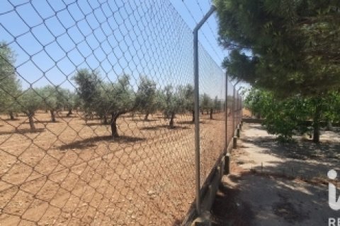Сasa en venta en Ocana, Toledo, España 837 m2 No. 188299 - foto 6
