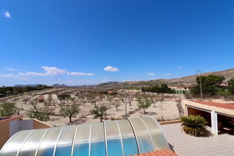 Villa in vendita Alicante, Spagna 7 camere da letto, 390 mq. N° 135635 - foto 9