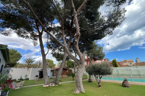 Villa for sale Dehesa De Campoamor, Alicante, Spain 3 bedrooms, 250 sq.m. No. 135629 - photo 26