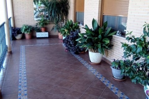 Villa for sale Pilar de la Horadada, Alicante, Spain 4 bedrooms, 220 sq.m. No. 115039 - photo 20