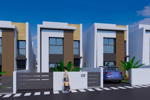 GOMERA STAR a Aguas Nuevas, Albacete, Spagna N° 155952 - foto 5