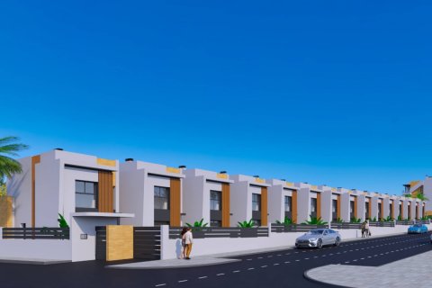 GOMERA STAR a Aguas Nuevas, Albacete, Spagna N° 155952 - foto 2