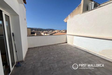 Apartment for rent in Sa Pobla, Mallorca, Spain 3 bedrooms, 200 sq.m. No. 195393 - photo 22