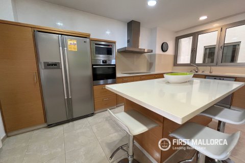 Apartment for rent in Sa Pobla, Mallorca, Spain 3 bedrooms, 200 sq.m. No. 195393 - photo 7
