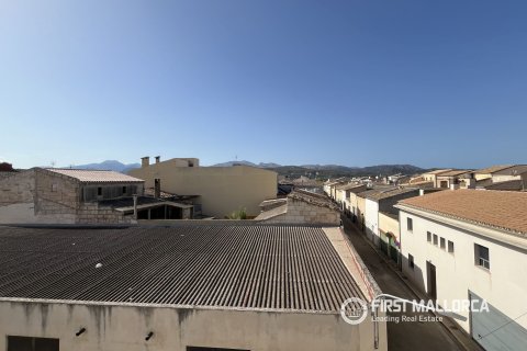 Apartment for rent in Sa Pobla, Mallorca, Spain 3 bedrooms, 200 sq.m. No. 195393 - photo 23