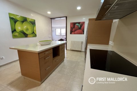 Apartment for rent in Sa Pobla, Mallorca, Spain 3 bedrooms, 200 sq.m. No. 195393 - photo 6