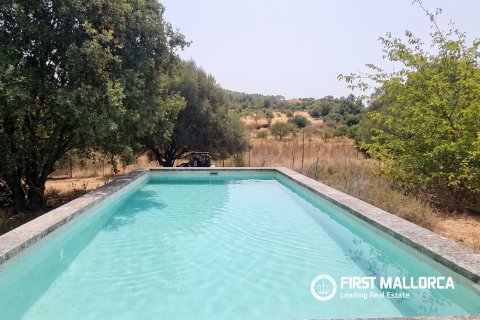 Finca for rent in Marratxinet (Marratxi), Mallorca, Spain 4 bedrooms, 150 sq.m. No. 195388 - photo 3