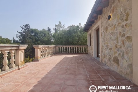 Finca for rent in Marratxinet (Marratxi), Mallorca, Spain 4 bedrooms, 150 sq.m. No. 195388 - photo 17