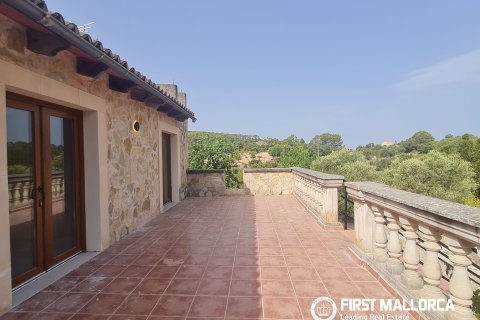 Finca for rent in Marratxinet (Marratxi), Mallorca, Spain 4 bedrooms, 150 sq.m. No. 195388 - photo 18