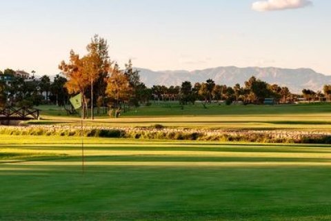 Villa in vendita a Ciudad Quesada, Alicante, Spagna 2 camere da letto, 75 mq. N° 161488 - foto 27