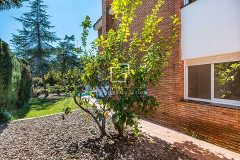 Villa à vendre à Bellaterra, Barcelona, Espagne, 5 chambres, 303 m2 No. 150324 - photo 17