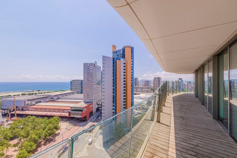 Apartament w Barcelona, Hiszpania 3 sypialnie, 236 mkw. nr 148877 – zdjęcie 12