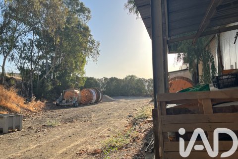 Lokal usługowy w Malaga, Hiszpania 2173 mkw. nr 152368 – zdjęcie 18