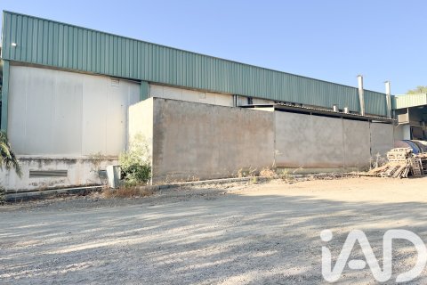 Lokal usługowy w Malaga, Hiszpania 2173 mkw. nr 152368 – zdjęcie 21