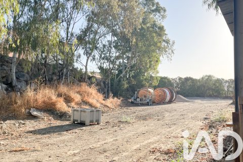 Lokal usługowy w Malaga, Hiszpania 2173 mkw. nr 152368 – zdjęcie 17