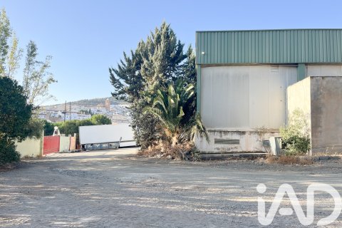 Lokal usługowy w Malaga, Hiszpania 2173 mkw. nr 152368 – zdjęcie 14