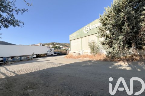 Lokal usługowy w Malaga, Hiszpania 2173 mkw. nr 152368 – zdjęcie 24