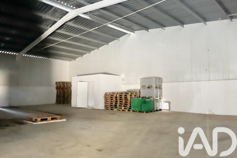 Lokal usługowy w Malaga, Hiszpania 2173 mkw. nr 152368 – zdjęcie 8