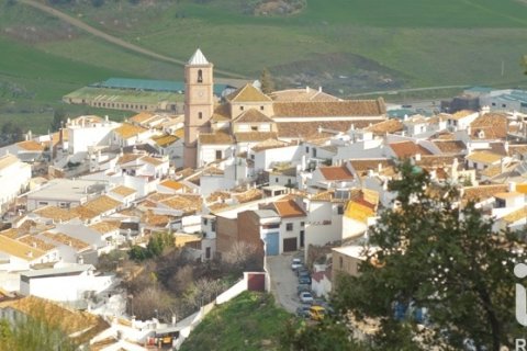 Lokal usługowy w Malaga, Hiszpania 2173 mkw. nr 152368 – zdjęcie 25