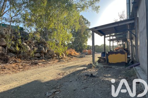 Lokal usługowy w Malaga, Hiszpania 2173 mkw. nr 152368 – zdjęcie 15