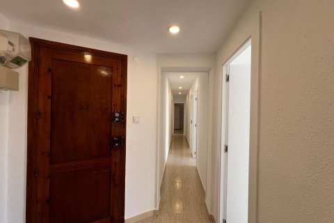 Apartment à louer à Alicante, Espagne, 4 chambres, 126 m2 No. 146357 - photo 24