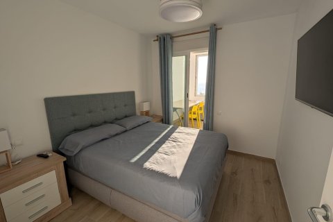 Apartment à louer à Benidorm, Alicante, Espagne, 2 chambres, 123 m2 No. 146353 - photo 3