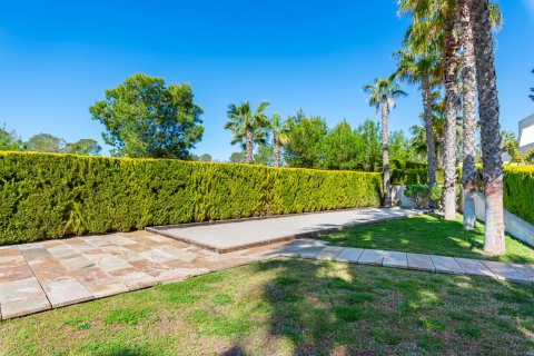 Huoneisto myytävänä Alicante, Espanja, 2 makuuhuonetta, 76 m2 No. 138531 - kuva 29