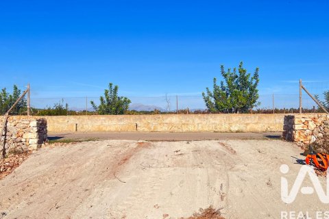Zemes gabals pārdošanā Santa Margalida, Mallorca, Spānijā 14120 m2 Nr. 172874 - attēls 16
