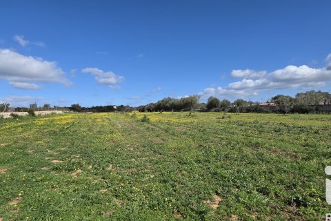 Zemes gabals pārdošanā Santa Margalida, Mallorca, Spānijā 14120 m2 Nr. 172874 - attēls 4
