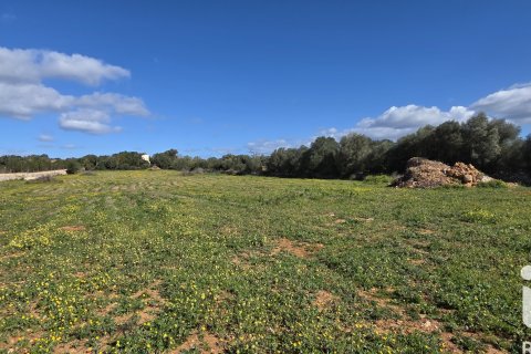 Zemes gabals pārdošanā Santa Margalida, Mallorca, Spānijā 14120 m2 Nr. 172874 - attēls 11