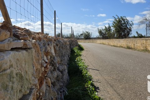 Zemes gabals pārdošanā Santa Margalida, Mallorca, Spānijā 14120 m2 Nr. 172874 - attēls 14