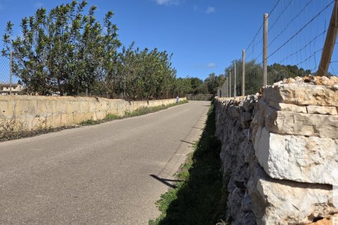 Zemes gabals pārdošanā Santa Margalida, Mallorca, Spānijā 14120 m2 Nr. 172874 - attēls 15