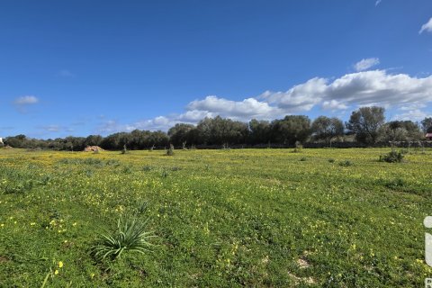 Zemes gabals pārdošanā Santa Margalida, Mallorca, Spānijā 14120 m2 Nr. 172874 - attēls 7