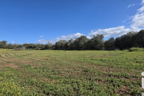Zemes gabals pārdošanā Santa Margalida, Mallorca, Spānijā 14120 m2 Nr. 172874 - attēls 12