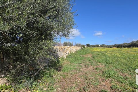 Zemes gabals pārdošanā Santa Margalida, Mallorca, Spānijā 14120 m2 Nr. 172874 - attēls 5