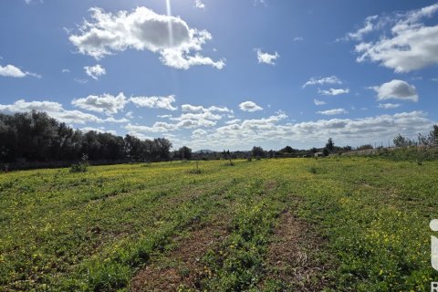 Zemes gabals pārdošanā Santa Margalida, Mallorca, Spānijā 14120 m2 Nr. 172874 - attēls 10