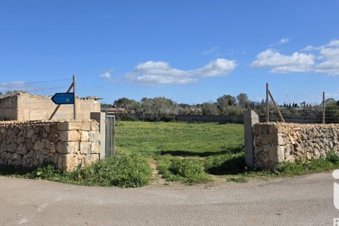 Zemes gabals pārdošanā Santa Margalida, Mallorca, Spānijā 14120 m2 Nr. 172874 - attēls 3