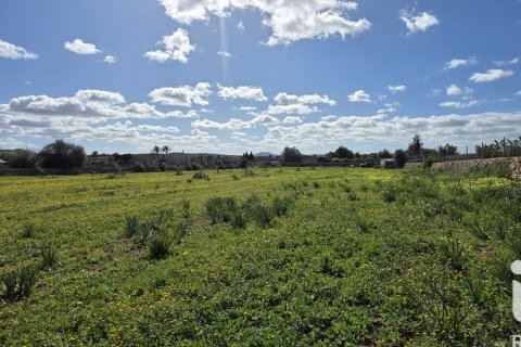 Zemes gabals pārdošanā Santa Margalida, Mallorca, Spānijā 14120 m2 Nr. 172874 - attēls 9