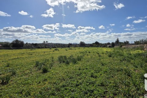Zemes gabals pārdošanā Santa Margalida, Mallorca, Spānijā 14120 m2 Nr. 172874 - attēls 8