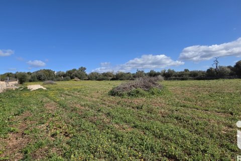 Zemes gabals pārdošanā Santa Margalida, Mallorca, Spānijā 14120 m2 Nr. 172874 - attēls 13
