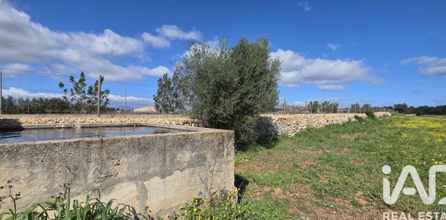 Zemes gabals Santa Margalida, Mallorca, Spānijā 14120 m2 Nr. 172874