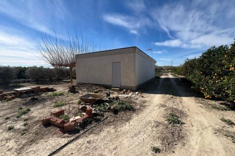 Finca till salu i Los Montesinos, Alicante, Spanien 1 sovrum, 100 kvm. Nr. 155059 - foto 21