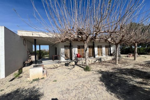Finca till salu i Los Montesinos, Alicante, Spanien 1 sovrum, 100 kvm. Nr. 155059 - foto 1
