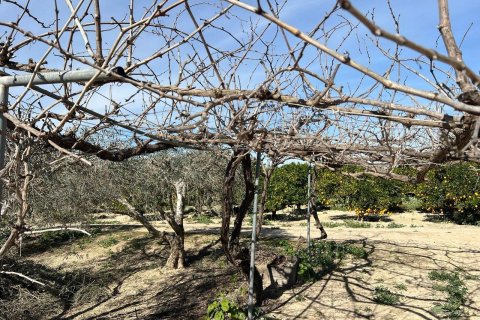 Finca till salu i Los Montesinos, Alicante, Spanien 1 sovrum, 100 kvm. Nr. 155059 - foto 14