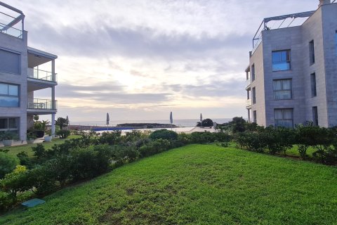 Lägenhet för uthyrning i Cala Figuera, Mallorca, Spanien 3 sovrum, 157 kvm. Nr. 144319 - foto 3