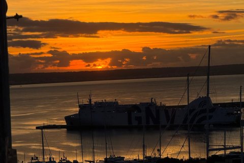 Lägenhet för uthyrning i Palma de Majorca, Mallorca, Spanien 2 sovrum, 70 kvm. Nr. 144321 - foto 15